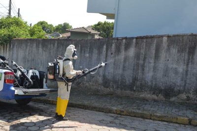 Ilhabela registra queda de 43% em casos de dengue